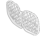 Genuine Bmw Grille 51137486810. Fixed Price $185.27.