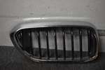 2017-2021 Bmw 5 Series Right Side Grille Factory Oem. Fixed Price $90.00.