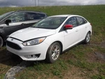 Grille Cover Lower Se Grained Black Rockers Center Fits 15-18 Focus 1898231. Fixed Price $230.54.