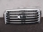 DP61219 Ford F150 F-150 Xlt 2015 2016 2017 Grille Oem. Fixed Price $149.99.
