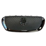 Genuine Oem 2009 2010 2011 Jaguar Xf Front Chrome Grille Mesh C2Z3832. Fixed Price $99.99.