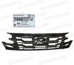 Genuine Oem Radiator Grille Without Camera Hole 2025-2026 Tucson 86350N9HA0TRC. Fixed Price $490.10.
