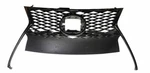 Lexus IS200T IS300 IS350 Front Radiator Grille & Chrome Trim Oem. Fixed Price $449.97.