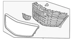 Genuine Gm Upper Grille 84724565. Fixed Price $829.19.
