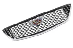 Genuine Gm F Grille 84934980. Fixed Price $456.28.