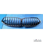 Genuine Bmw Grill Front 51138092674 New. Fixed Price $317.37.