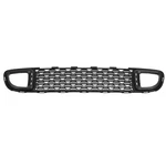 Genuine Mini Grill Lower 51-11-7-289-990. Fixed Price $166.73.