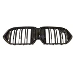 Bmw Oem Front Grill (hgl Chrome) X6 F96 51138079731. Fixed Price $465.18.