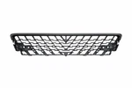 Genuine Oem Front Lower Grille For Lexus GX460 20-23 5311260340. Fixed Price $176.73.
