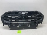 2018 2019 2020 Ford Ecosport Grille Backing W/o Chrome Oem. Fixed Price $199.99.