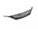 Genuine Mopar Radiator Grille 68258851AB. Fixed Price $81.08.