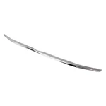 Grille Molding Ford Ecosport 2018-2022 Lower Capa Certified 104-10458D. Fixed Price $107.36.