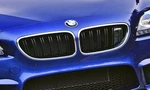 Genuine 2011-2018 Bmw F12 F13 M6 Coupe & Cabrio Night Vision Grill 51138080525. Fixed Price $419.95.