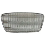 Mesh Grille 1959-60 Studebaker Lark N.o.s.. Fixed Price $117.30.
