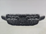 2024-2025 Ford Ranger N1WB-8350-CF Grille Oem. Fixed Price $252.00.