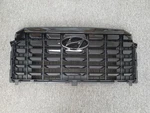Oem 86350-S8CC0TRC Radiator Grille For Hyundai Palisade 2023 25 *gas/rador(x)*. Fixed Price $599.95.