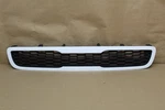 2010 - 2011 Kia Soul Grille Oem. Fixed Price $76.45.