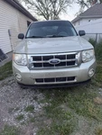 08-12 Ford Escape Front Grille Oem Mariner Tribute Light Sage Metallic W6. Fixed Price $44.65.