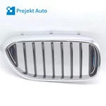 18-20 Oem Bmw Front Right Grill Passenger W/blue Accents For 530E 7473702 G30. Fixed Price $55.20.