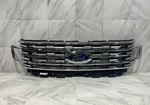 2018-2021 Ford Expedition Grille Assembly Oem Front Center JL1B8200FB5JP4. Fixed Price $650.00.