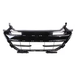 New Front Lower Grille Fits 2021-2022 Honda Accord 104-11912B Capa. Fixed Price $243.96.