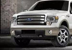 Genuine Ford 2009-2014 F-150 Grille Insert Chrome Mesh CL3Z-8200-BB. Fixed Price $1230.29.