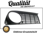 Decorative Grille Plastic Front Radiator Right For Bmw E10 From 1973. Fixed Price $116.25.