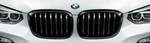 Bmw Oem 2018-21 G01 X3 2019-21 G02 X4 Gloss Black Shadow-line Front Grille Pair. Fixed Price $399.95.