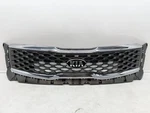 20 21 Kia Telluride Front Grille Oem 86350-S9000 Used. Fixed Price $245.00.