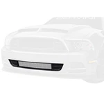 Cervini Grille Lower GT500 Style Mustang V6/GT 2013-2014/BOSS 302. Fixed Price $258.99.