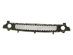 Front Lower Bumper Grille Fits 2016-2019 Smart Fortwo W453 Oem A4538880523. Fixed Price $351.20.