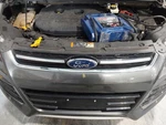 Used Upper Grille Fits: 2016 Ford Escape Titanium Grade B. Fixed Price $114.23.