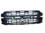 Oem Original 2024 2025 Ford F-150 Raptor Grille RL3V-8200-VG5KBX. Fixed Price $449.95.