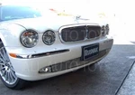Bolt On Lower Bumper Mesh Grille For Jaguar XJ8 Xjr 2004-07 Chrome /black X350. Fixed Price $125.00.