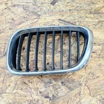 Bmw X5 E53 Radiator Grille 51138247674 3.00 Diesel 135KW 30584482. Fixed Price $26.67.