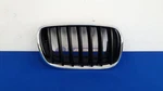 13 Bmw X5 Kidney Grille Right Passenger Chrome And Black. Fixed Price $56.25.