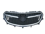 DP30755 Buick Encore 2017 2018 2019 2020 Front Upper Grille Oem. Fixed Price $99.99.