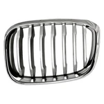 Grille For Bmw X3 2018-2021 Driver Side Capa Certified 51137478669. Fixed Price $103.97.