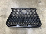2022-2024 Lexus NX250 NX350 NX450H Front Radiator Grille Gray 53101-F6030 *read*. Fixed Price $208.99.