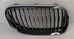 2011 2012 2013 Bmw E92 E93 Front Right Passenger Kidney Grille 51137254972 Oem. Fixed Price $24.99.