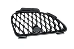14-17 Jaguar F-type X152 Front Left Side Bumper Grille EX538A412 Oem. Fixed Price $105.00.