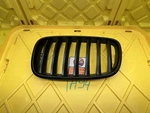 Bmw X6 E71 Front Bumper Radiator Grill 5131718522 Oem. Fixed Price $49.49.