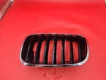 2007-2013 Bmw X5 Left Hood / Kidney Grille 7171395. Fixed Price $40.00.