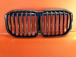 Oem 2019 2020 Bmw X7 G07 Front Upper Grille 8094566. Fixed Price $170.00.