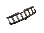 Grille Mopar 68258419AA. Fixed Price $319.99.