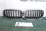 2021 2022 2023 Bmw Series G30 Front Bumper Grille Oem AX72875. Fixed Price $250.00.