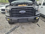 Grille Center Xl Painted Bars Fits 15-17 Ford F150 Pickup 4103510. Fixed Price $366.60.