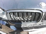 Passenger Grille Bumper Mounted Upper Black Surround Fits 14-18 Bmw X5 3189741. Fixed Price $129.99.