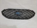 21 22 2019-2023 Ford Edge Grille Oem. Fixed Price $261.00.