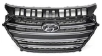 Oem Grille For 2016-2017 Hyundai Elantra Gt (hatchback) 86350-A5800, Scratches. Fixed Price $210.00.